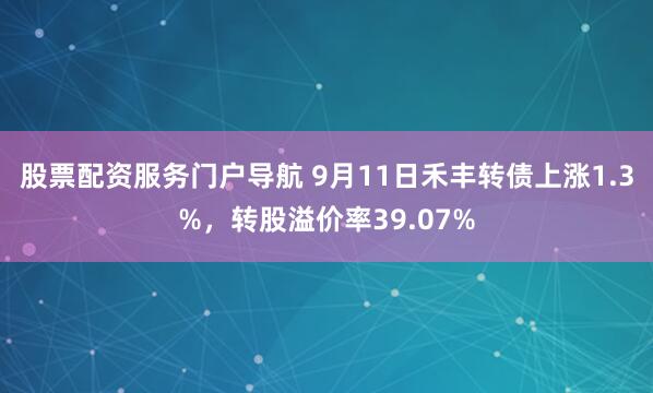 股票配资服务门户导航 9月11日禾丰转债上涨1.3%，转股溢价率39.07%