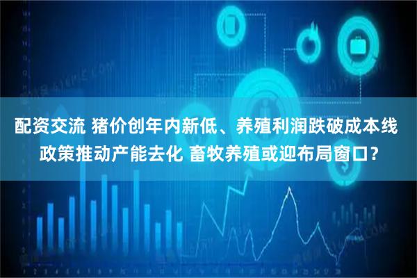 配资交流 猪价创年内新低、养殖利润跌破成本线 政策推动产能去化 畜牧养殖或迎布局窗口？