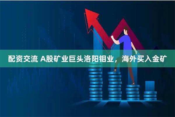 配资交流 A股矿业巨头洛阳钼业，海外买入金矿